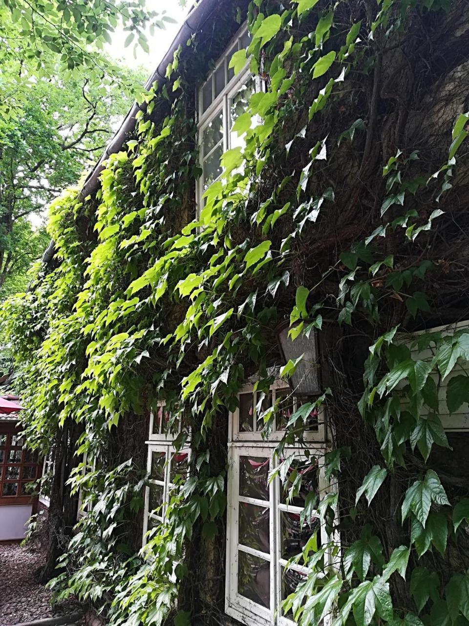 Gasthof Bad Hopfenberg Petershagen Exterior photo